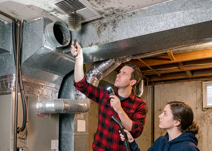 Premier HVAC Mold Remediation Company in Union City